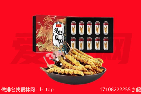 张家口市阳原回收虫草.jpg